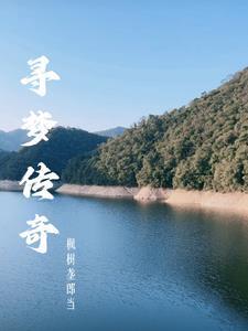 寻梦传媒公会