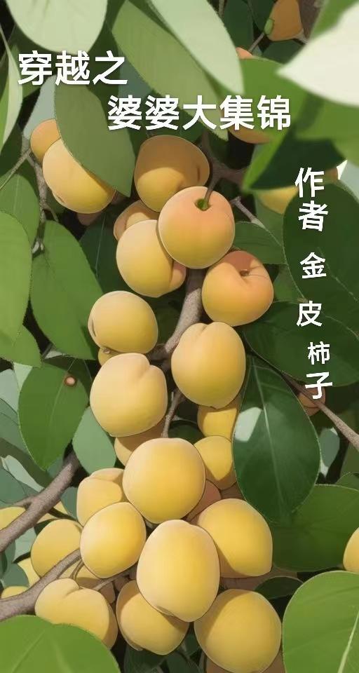 穿越之婆婆当家