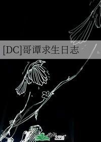 dc哥谭求生日志