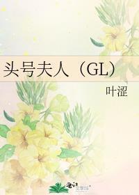 头号夫人gl 免费