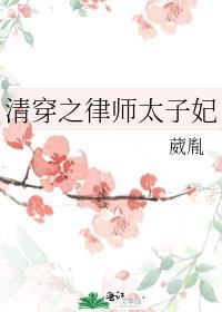 清穿之律师太子妃葳胤