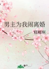 男主为我闹离婚讲了什么