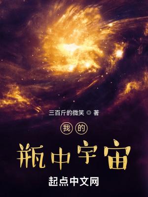 我的瓶中宇宙精校版txt