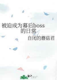 被迫成为幕后boss的日常第二部