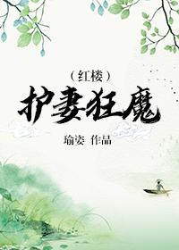 红楼护妻狂魔百度百科